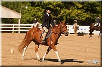 4H-Dsts-10_2121.jpg