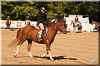 4H-Dsts-10_2122.jpg