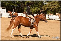 4H-Dsts-10_2123.jpg