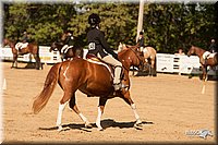 4H-Dsts-10_2124.jpg