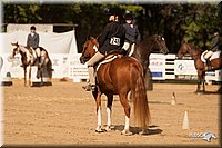 4H-Dsts-10_2125.jpg