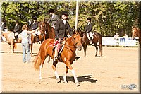 4H-Dsts-10_2140.jpg
