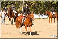 4H-Dsts-10_2141.jpg