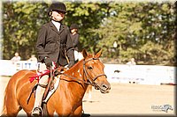 4H-Dsts-10_2142.jpg