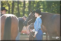 4H-Dsts-10_0618.jpg
