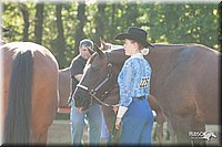 4H-Dsts-10_0621.jpg