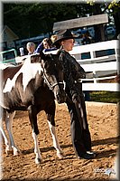 4H-Dsts-10_0623.jpg