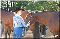 4H-Dsts-10_0637.jpg