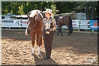 4H-Dsts-10_0642.jpg
