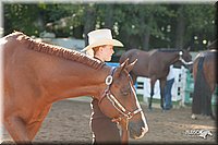 4H-Dsts-10_0650.jpg