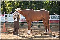 4H-Dsts-10_0658.jpg