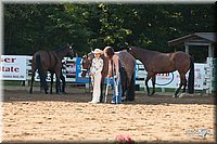 4H-Dsts-10_0676.jpg