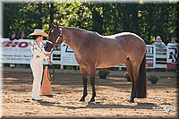 4H-Dsts-10_0678.jpg