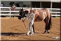 4H-Dsts-10_0689.jpg