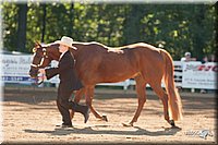 4H-Dsts-10_0699.jpg