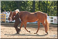 4H-Dsts-10_0700.jpg