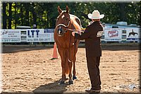 4H-Dsts-10_0703.jpg