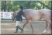 4H-Dsts-10_1481.jpg
