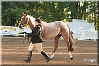4H-Dsts-10_1485.jpg