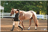4H-Dsts-10_1486.jpg