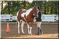 4H-Dsts-10_1493.jpg