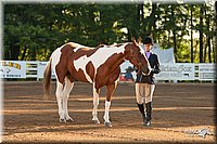 4H-Dsts-10_1500.jpg