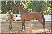 4H-Dsts-10_1508.jpg