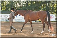 4H-Dsts-10_1509.jpg