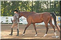 4H-Dsts-10_1510.jpg