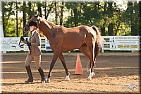 4H-Dsts-10_1511.jpg