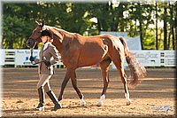 4H-Dsts-10_1513.jpg