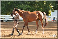 4H-Dsts-10_1514.jpg