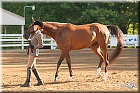 4H-Dsts-10_1515.jpg
