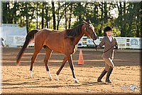 4H-Dsts-10_1519.jpg