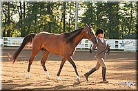 4H-Dsts-10_1521.jpg
