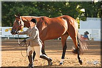 4H-Dsts-10_1529.jpg