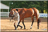 4H-Dsts-10_1530.jpg