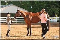 4H-Dsts-10_1531.jpg