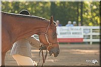 4H-Dsts-10_1539.jpg