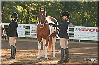 4H-Dsts-10_1541.jpg