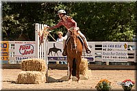 4H-Dsts-10_0980.jpg