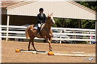 4H-Dsts-10_0998.jpg