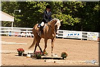 4H-Dsts-10_1000.jpg