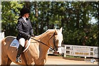 4H-Dsts-10_1003.jpg