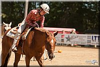 4H-Dsts-10_1008.jpg