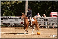 4H-Dsts-10_1027.jpg