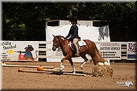 4H-Dsts-10_1028.jpg