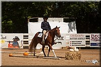 4H-Dsts-10_1030.jpg