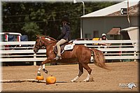 4H-Dsts-10_1031.jpg