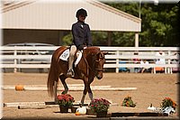 4H-Dsts-10_1033.jpg